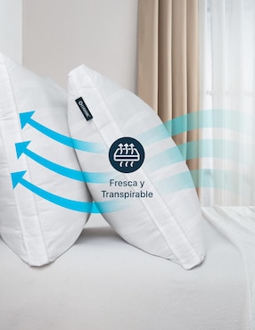 Almohada Esquimal firmeza media
