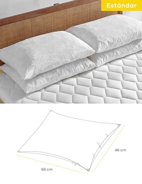 Set de almohadas Nooz Essential firmeza media
