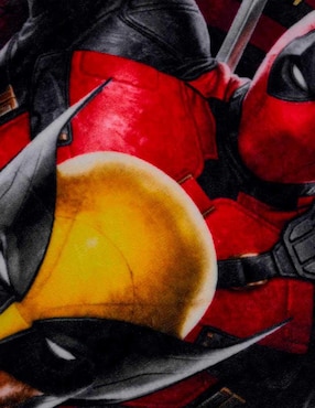 Cobertor Deadpool Providencia Serenity