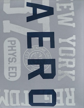 Cojín decorativo Aéropostale Nil Grey