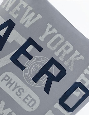 Cojín decorativo Aéropostale Nil Grey