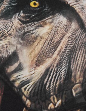 Almohada Providencia Jurassic World Rex firmeza media