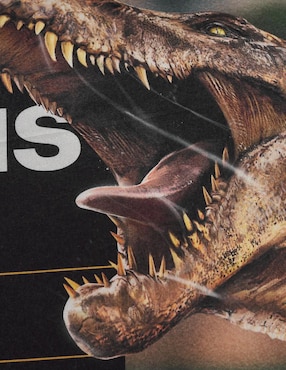 Almohada Providencia Jurassic World Rex firmeza media