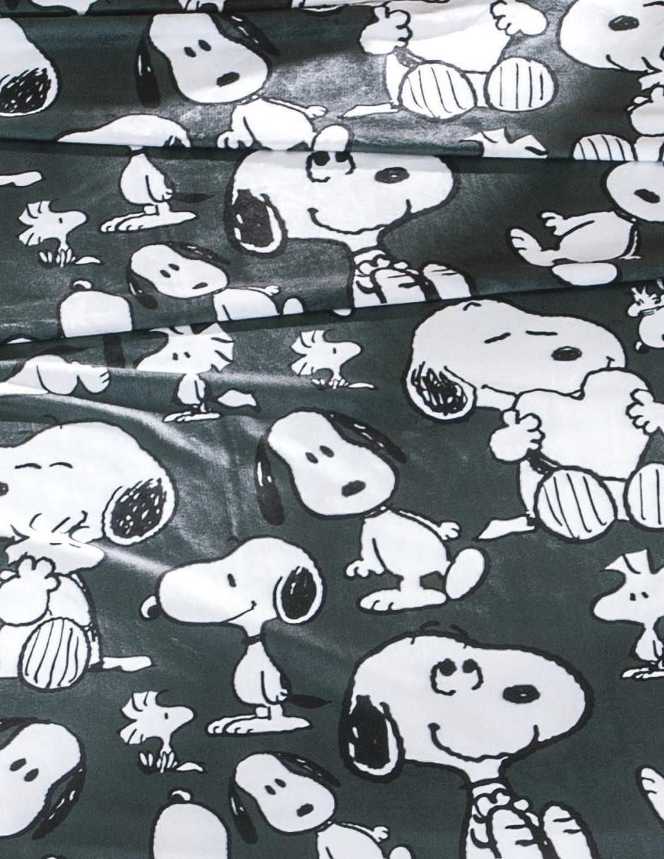 Cobertor Snoopy 2