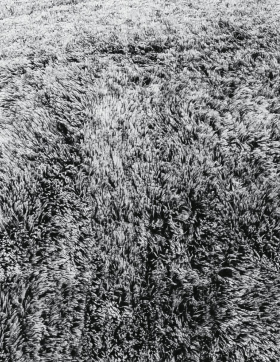 Gris obscuro