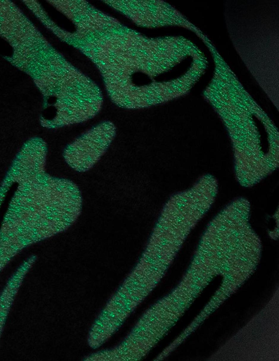 Set edredón Dinosaurio 6