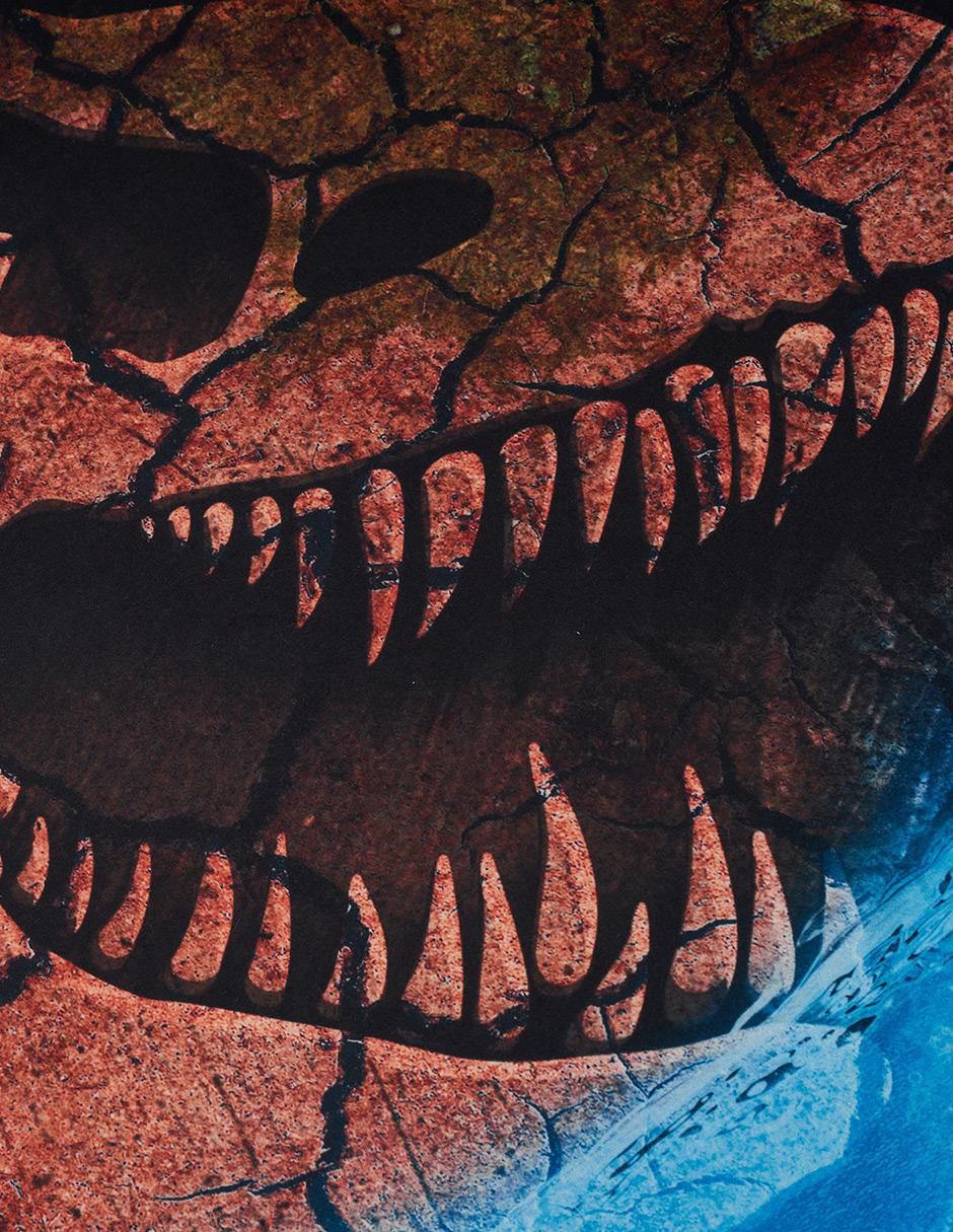 Set edredón microfibra Jurassic World Rebirth 6