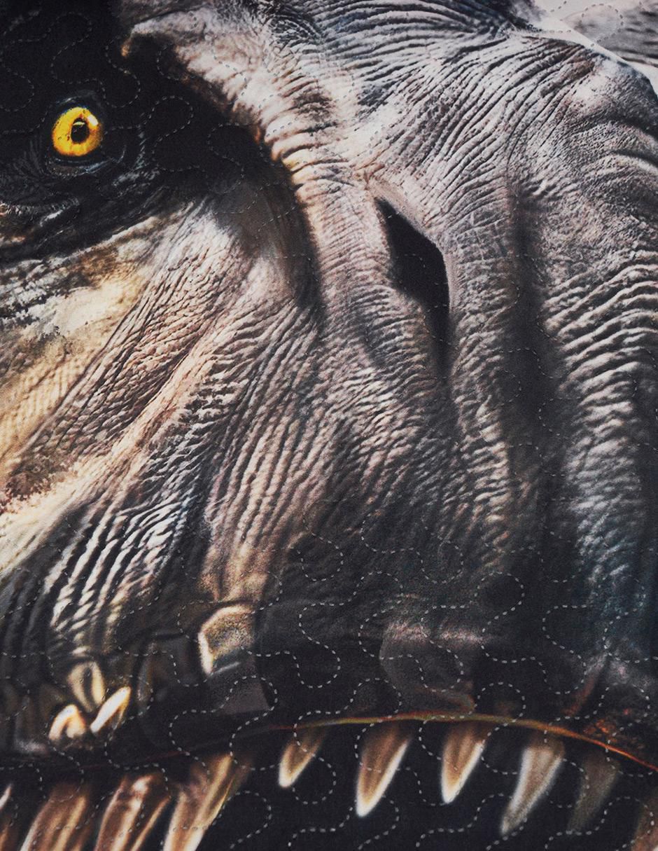 Set de colcha microfibra Jurassic World Rebirth 7